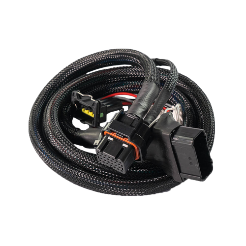 FuelTech FT450 Honda Grom plug and play harness
