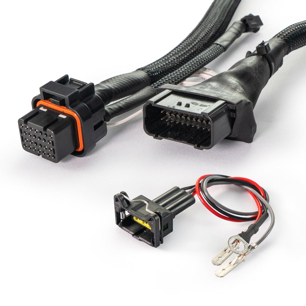 FuelTech Honda Grom FT450 harness installed