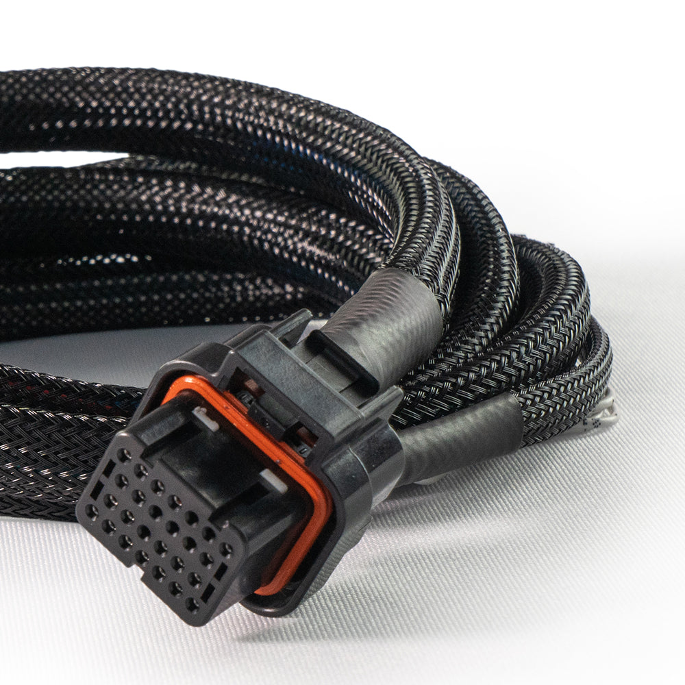 FuelTech FT450 single cylinder harness laid out
