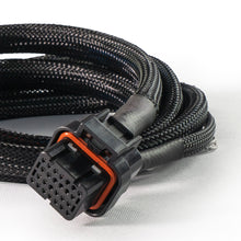 Load image into Gallery viewer, FuelTech FT450 single cylinder harness laid out