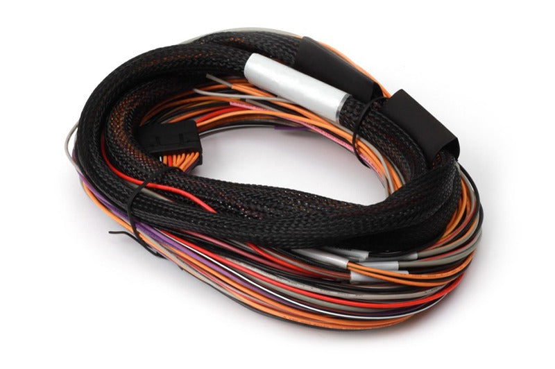 Haltech IO 12 Expander Flying Lead Harness Length: 2.5m (8') - HT-049902