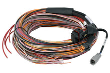 Load image into Gallery viewer, Haltech PD16 PDM + Flying Lead Harness (5M) - HT-198201