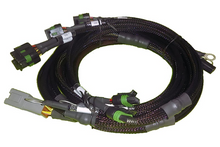 Load image into Gallery viewer, Haltech V8 GM/Chrysler Hemi Small/Big Block 8 x Individual High Output IGN-1A Inductive Coil Harness - HT-130306