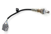 Load image into Gallery viewer, Haltech WB1 NTK - Single Channel CAN O2 Wideband Controller Kit Length: 1.2M (4ft) - HT-159978