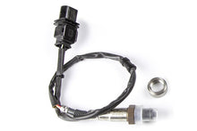 Load image into Gallery viewer, Haltech WB1 Bosch - Single Channel CAN O2 Wideband Controller Kit Length: 1.2M (4ft) - HT-159976