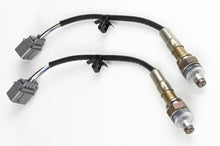 Load image into Gallery viewer, Haltech WB2 NTK - Dual Channel CAN O2 Wideband Controller Kit Length: 1.2M (4ft) - HT-159988