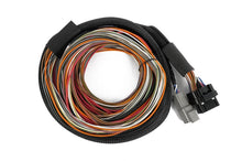 Load image into Gallery viewer, Haltech Nexus IO16 Universal Wire in harness 2.6m (8.5&#39;) - HT-180000