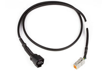 Load image into Gallery viewer, Haltech LSU4.9 Wideband Adaptor Harness LSU4.9 to DTM6 - HT-010726