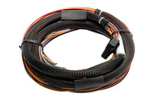 Load image into Gallery viewer, Haltech IO 12 Expander - 12 Channel with Flying Lead Harness Kit (CAN ID - Box A) Length: 2.5m (8') - HT-059904