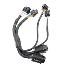 Load image into Gallery viewer, FuelTech FT550 to FT600/FT700 adapter harness overview
