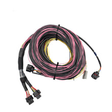 Load image into Gallery viewer, FuelTech FT700 C and D unterminated harness 20 ft version