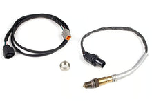 Load image into Gallery viewer, Haltech LSU4.9 Wideband Hardware Pack - HT-010746