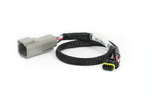 Load image into Gallery viewer, Haltech CAN Adaptor Loom DTM-4 to Molex Mizu-P25 - Suits Holley - HT-130053