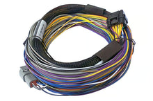 Load image into Gallery viewer, Haltech Elite 550 750 Basic Universal Wire-in Harness Length: 2.5m (8&#39;) - HT-140602