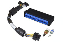 Load image into Gallery viewer, Haltech Elite 750 Nissan Patrol Y60 &amp; Y61 (TB45) Plug &#39;n&#39; Play Adaptor Harness - HT-140661