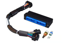 Load image into Gallery viewer, Haltech Elite 1000/1500 Nissan Silvia S14 S1 &quot;ZENKI&quot; Plug &#39;n&#39; Play Adaptor Harness - HT-140852