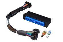 Load image into Gallery viewer, Haltech Elite 1000/1500 Nissan 200SX/Silvia S15 &amp; S14A S2 Plug &#39;n&#39; Play Adaptor Harness - HT-140854