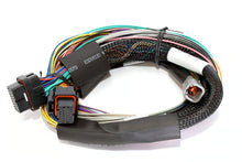 Load image into Gallery viewer, Haltech Elite 1500 Basic Universal Wire-in Harness Length: 2.5m (8&#39;) - HT-140902