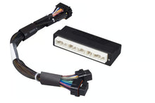 Load image into Gallery viewer, Haltech Elite 1000/1500 Honda Civic EP3 Plug &#39;n&#39; Play Adaptor Harness - HT-140960