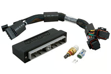Load image into Gallery viewer, Haltech Elite 2000/2500 Nissan R34 GT-T, Stagea WC34 Plug'n'Play Adaptor Harness - HT-141258