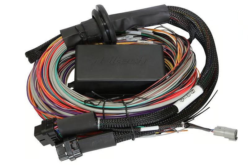 Haltech Elite 2500 & 2500 T Premium Universal Wire-in Harness Length: 2.5m (8') - HT-141304