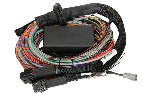 Haltech Elite 2500 & 2500 T Premium Universal Wire-in Harness Length: 2.5m (8') - HT-141304