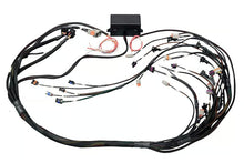 Load image into Gallery viewer, Haltech Elite 2000/2500 GM GEN IV LSx (LS2/LS3 etc) non DBW Terminated Harness - HT-141365