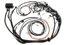 Load image into Gallery viewer, Haltech Elite 2500 Terminated Engine Harness For Ford Falcon FG Barra 4.0L I6 - HT-141389