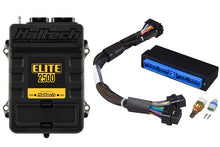 Load image into Gallery viewer, Haltech Elite 2500 + Nissan Patrol Y60 (TB42) Plug &#39;n&#39; Play Adaptor Harness Kit - HT-151399