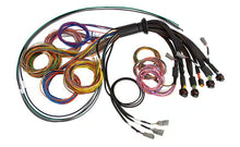 Load image into Gallery viewer, Haltech NEXUS R5 Universal Wire-In harness Length: 2.5M - HT-185200
