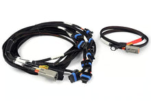 Load image into Gallery viewer, Haltech Nexus Universal V8 - IGN-1A Ford Harness - HT-186061