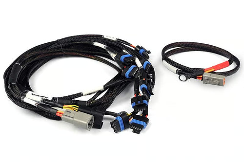 Haltech Nexus Universal V8 - IGN-1A Ford Harness - HT-186061