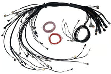 Load image into Gallery viewer, Haltech Nexus R5 LSx Non DBW Terminated Harness - HT-186206