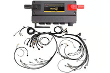 Load image into Gallery viewer, Haltech Nexus R5 + LSx Non DBW Terminated Harness - HT-195406