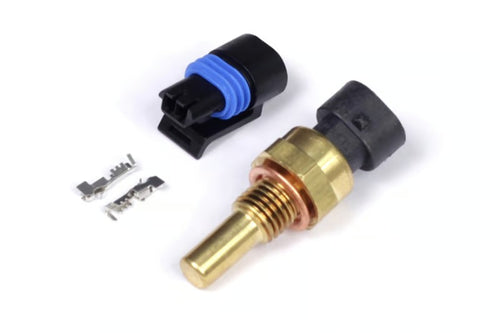 Haltech Coolant Temp Sensor - Small Thread Thread: M12 x 1.5 - HT-010300