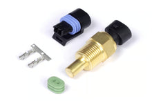 Load image into Gallery viewer, Haltech Coolant Temp Sensor - Large Thread Thread: 3/8 NPT 18TPI - HT-010302