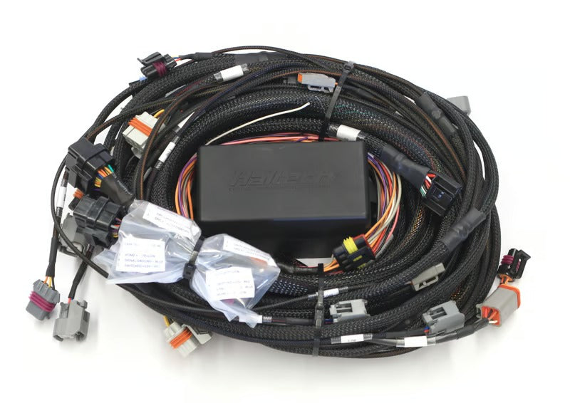 Haltech Elite 2500 GM GEN III LS1 & LS6 (DBW Retrofit Ready) Terminated Harness - HT-141362
