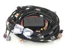 Load image into Gallery viewer, Haltech Elite 2500 GM GEN III LS1 &amp; LS6 (DBW Retrofit Ready) Terminated Harness - HT-141362