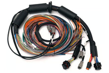Load image into Gallery viewer, Haltech Nexus R3 Universal Wire-in Harness - 2.5m (8&#39;) - HT-183200