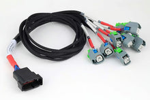 Load image into Gallery viewer, Haltech Nexus Universal V8 - GT150 (USCAR) Injector Secondary Breakout - HT-186003