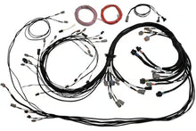 Load image into Gallery viewer, Haltech Universal V8 Terminated Engine Harness for Nexus R5 VCU - HT-186200