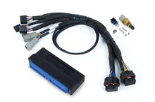 Load image into Gallery viewer, Haltech Nexus S3 Plug &#39;n&#39; Play Adapter Harness Nissan Skyline R32/R33/R34 GT-R - HT-186362