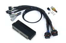 Load image into Gallery viewer, Haltech Nexus S3 Plug &#39;n&#39; Play Adapter Harness Nissan Skyline R34 GT-T - HT-186363