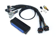 Load image into Gallery viewer, Haltech Nexus S3 Plug &#39;n&#39; Play Adapter Harness Nissan Patrol Y60 - HT-186364
