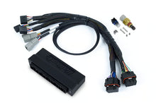 Load image into Gallery viewer, Haltech Nexus S3 Plug &#39;n&#39; Play Adapter Harness Subaru WRX 01-05 - HT-186366