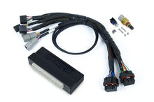 Load image into Gallery viewer, Haltech Nexus S3 Plug &#39;n&#39; Play Adapter Harness Subaru WRX MY06-10 - HT-186370