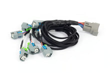 Load image into Gallery viewer, Haltech Nexus Rebel LS - LS EV6 Injector Sub-Harness - HT-186502