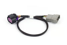 Load image into Gallery viewer, Haltech Nexus Rebel LS - 8-pin DBW Adaptor - HT-186506