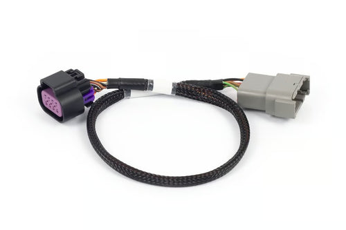 Haltech Nexus Rebel LS - 8-pin DBW Adaptor - HT-186506
