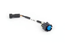 Load image into Gallery viewer, Haltech Nexus Rebel LS - Gen IV Oil Pressure Sensor Adaptor Harness - HT-186510